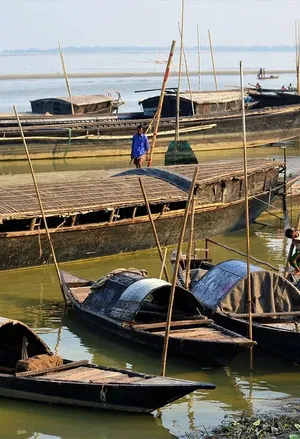 Pointu traditionnel 