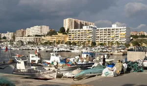 Poissons de la Méditerranée - Le grondin