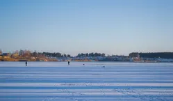 Vente directe des pêcheurs du 06