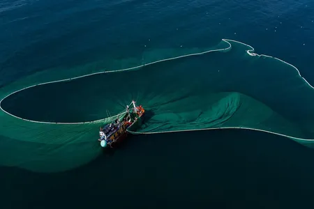 Pêche aux oursins en Méditerranée