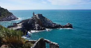 Poissons de la Méditerranée - L'espadon